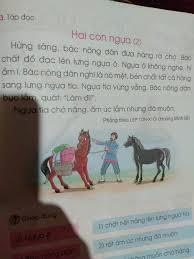 ngua tia ngua o.jpg
