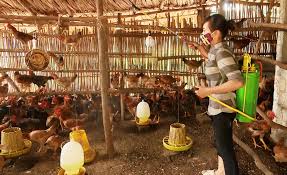 nguoi dan tu giac phun thuoc chong dich mong duoc co quan chuc nang ho tro them.jpg